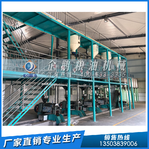 企鵝糧油機(jī)械：解析棕櫚油的優(yōu)勢及加工解決方案